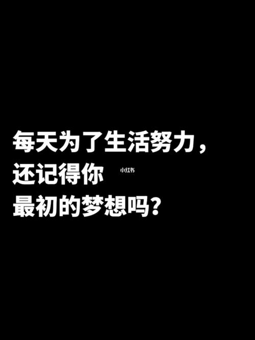 有了梦想以后作文（《追逐梦想的路上，那些不可避免的挑战》）