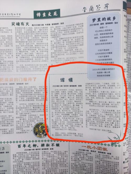 关于母亲教会了我什么的作文（《感恩路上的点滴》）