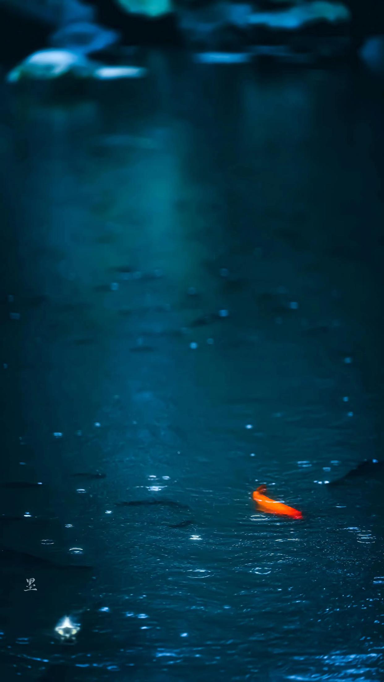 夏雨唯美古诗大全（10首夏雨诗词）