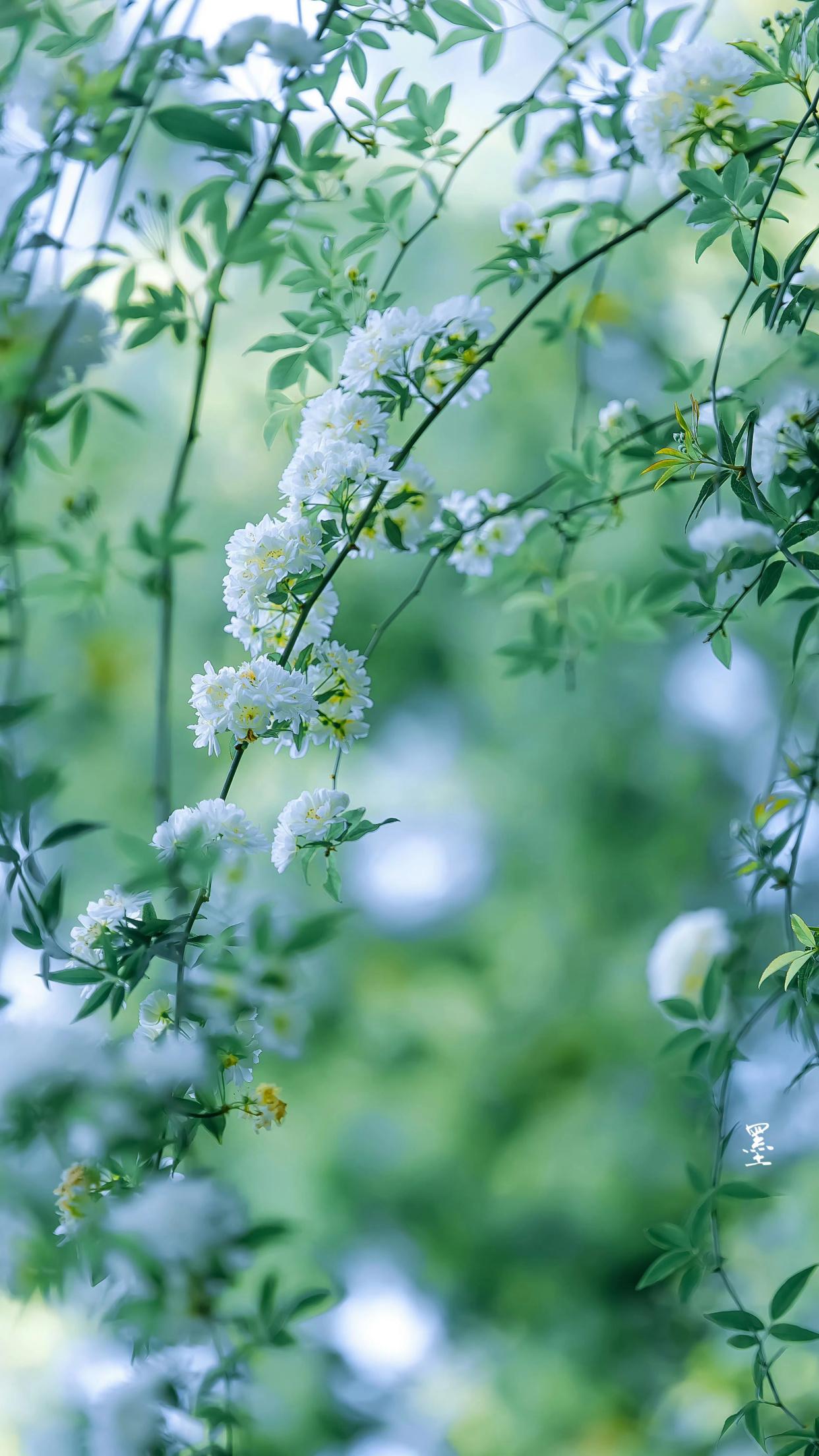 我觉君非池中物，咫尺蛟龙云雨（精选40句离别祝福诗词）