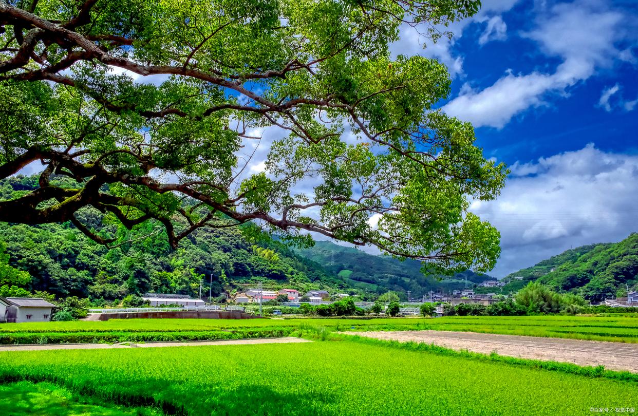 送别唯美古诗大全（十首唯美夏天古诗）