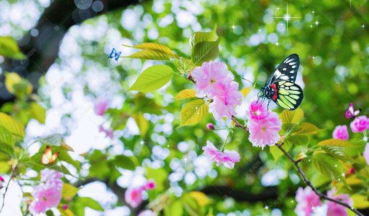 清明节唯美诗词有哪些（十首经典清明节诗词）