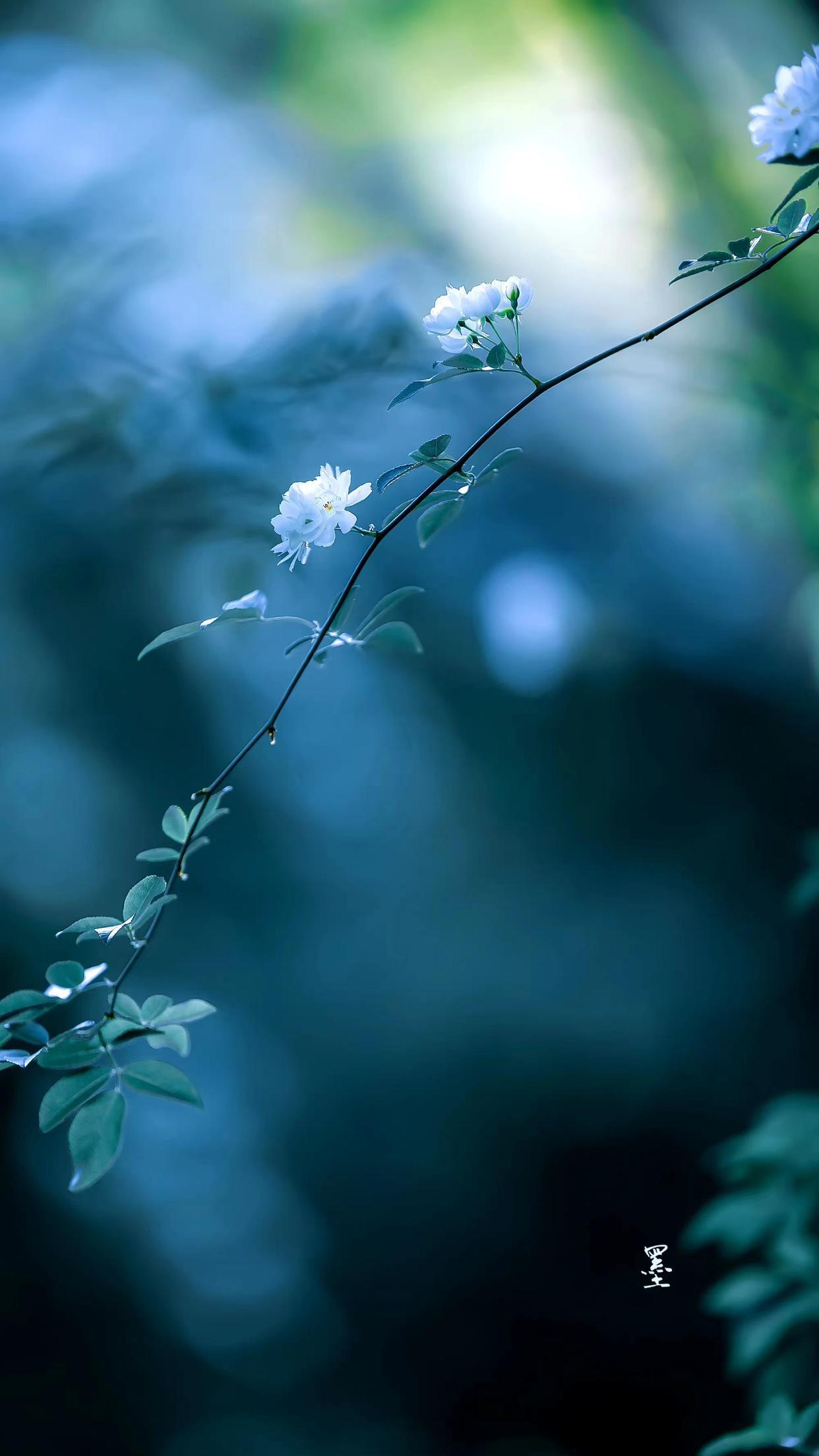 婉约唯美诗词有哪些（十首经典的婉约古诗）