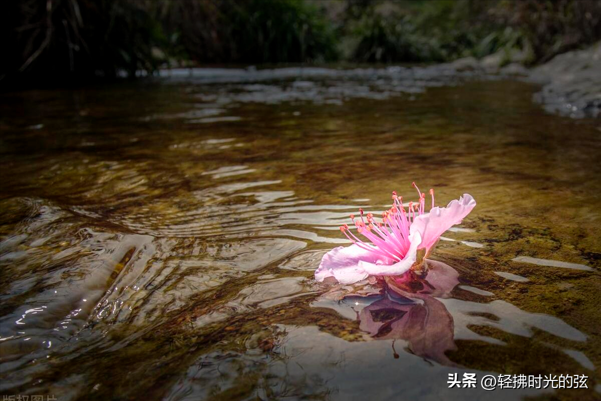 刘长卿唯美古诗大全（刘长卿经典唐诗十首）