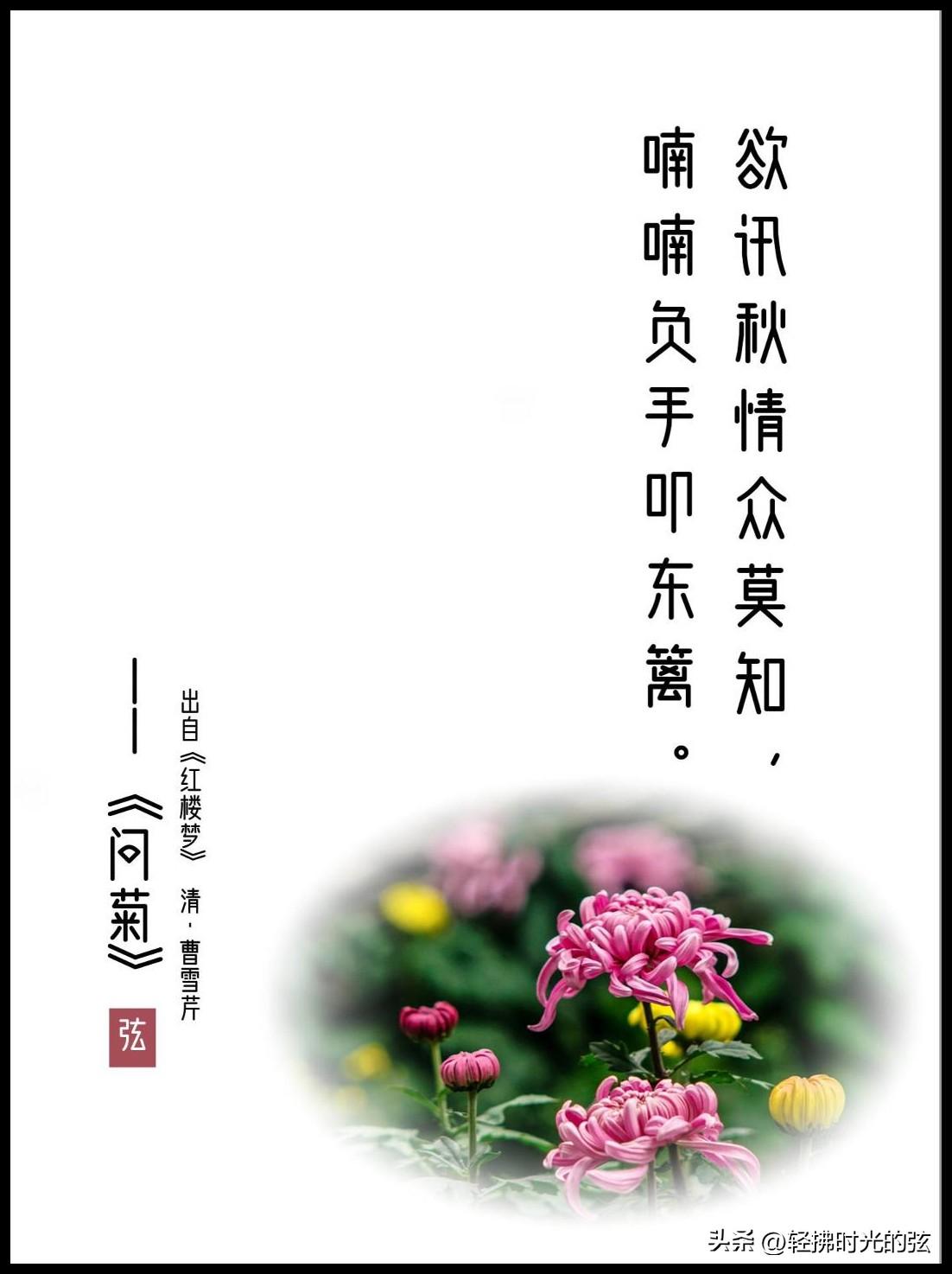 红楼梦唯美古诗大全，绝美《红楼梦》诗词六首