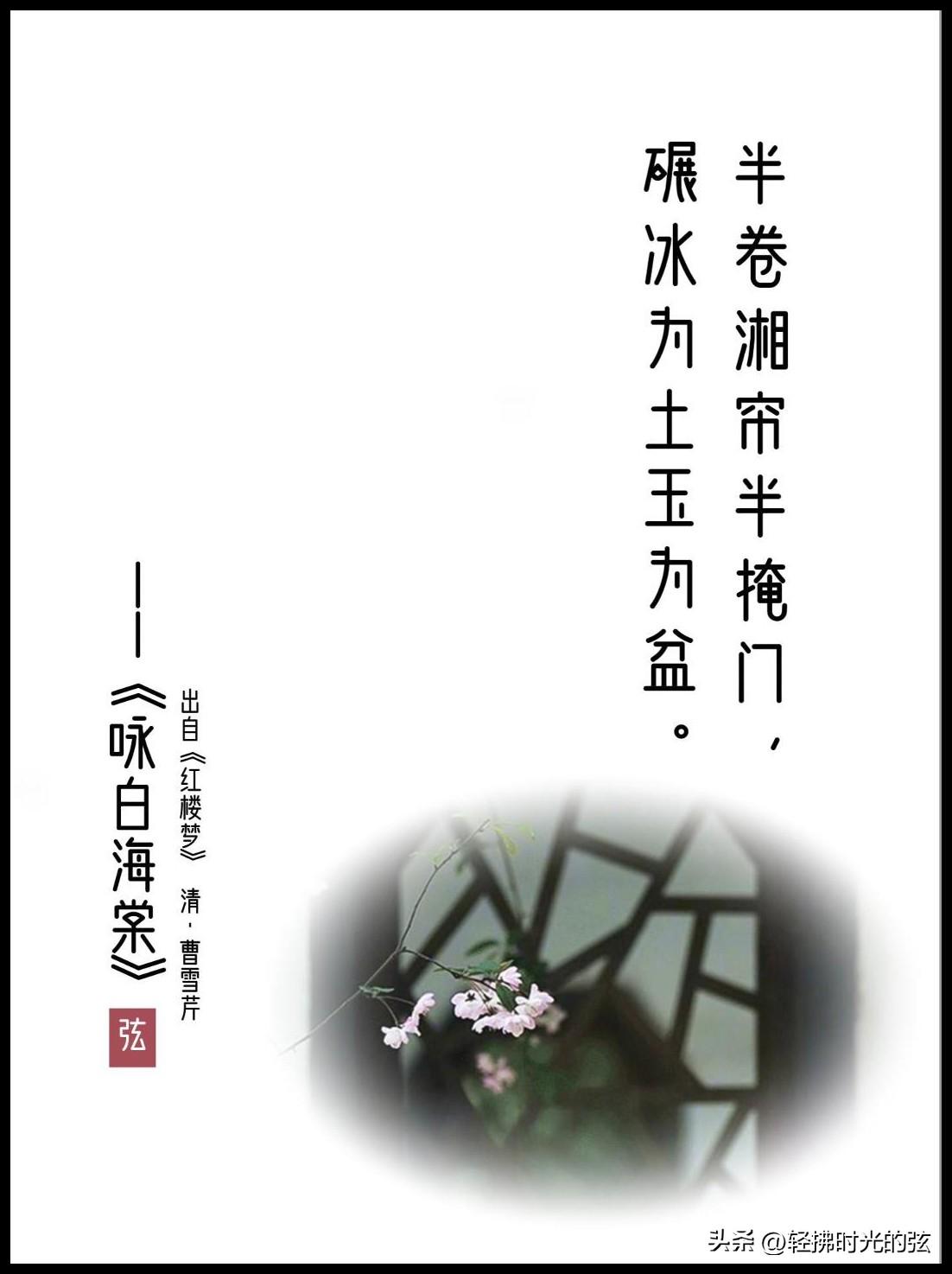 红楼梦唯美古诗大全，绝美《红楼梦》诗词六首