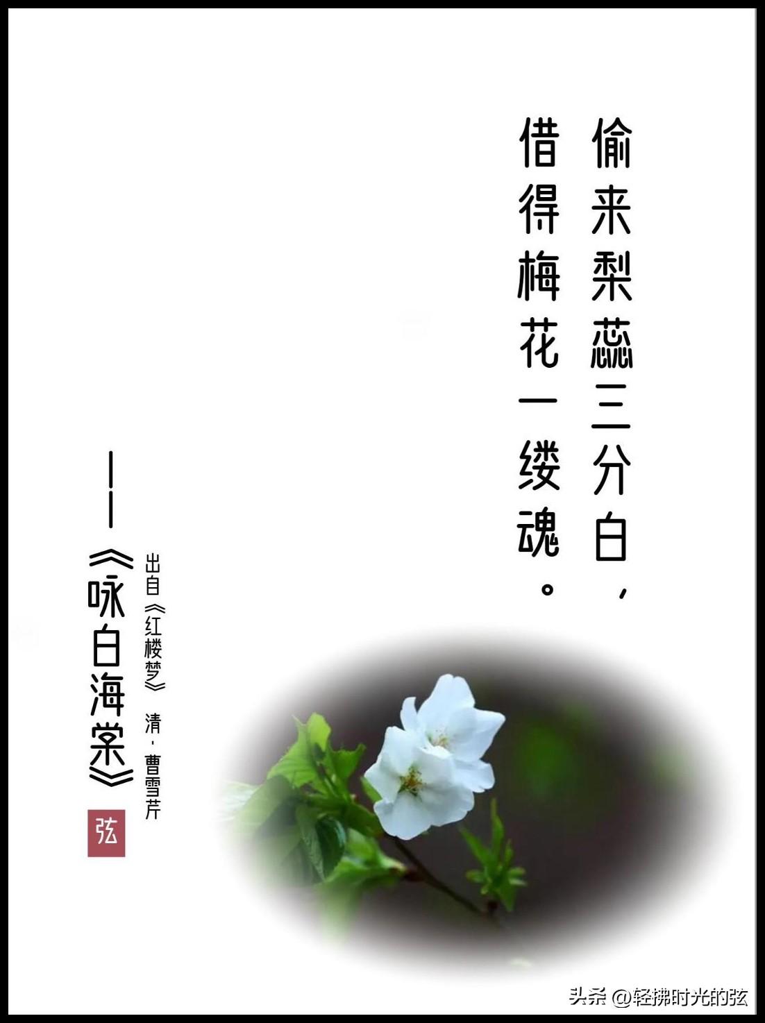 红楼梦唯美古诗大全，绝美《红楼梦》诗词六首