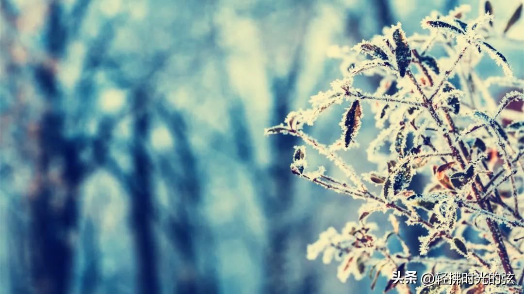 一别两地秋，人间雪满头（七言诗词里的唯美友情）