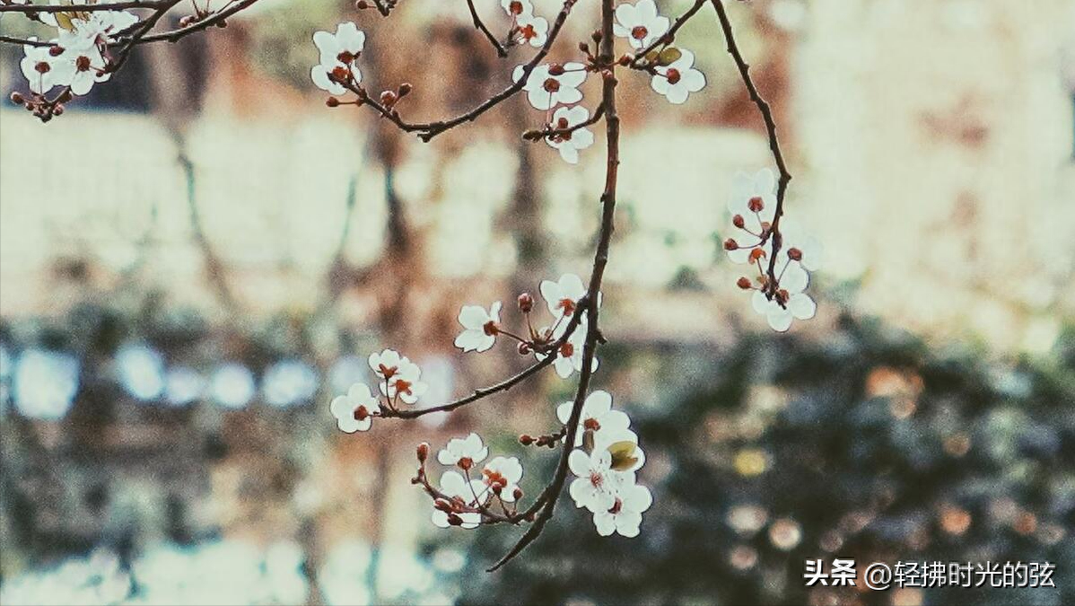 陌上花唯美古诗大全，苏轼《陌上花》三首