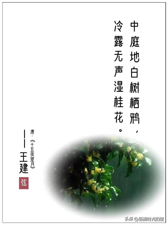 桂花唯美古诗大全（八首清绝桂花诗词）