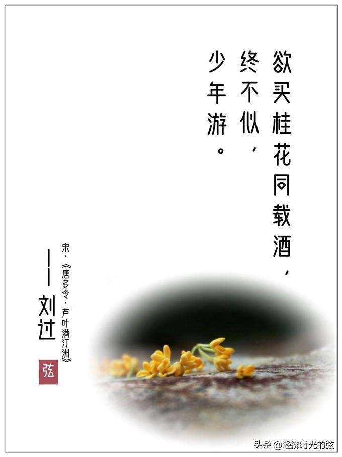 桂花唯美古诗大全（八首清绝桂花诗词）