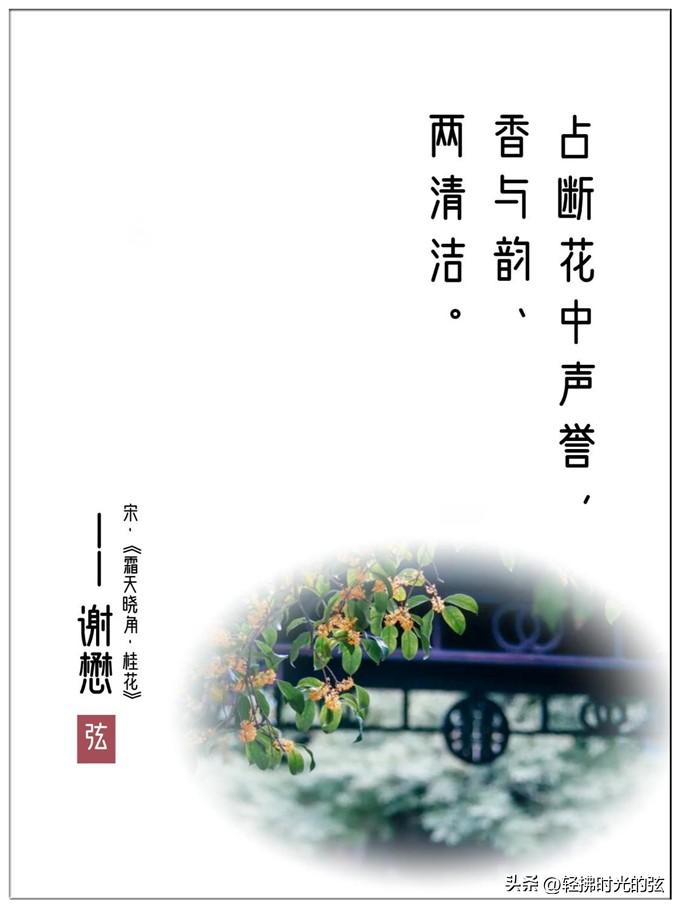 桂花唯美古诗大全（八首清绝桂花诗词）