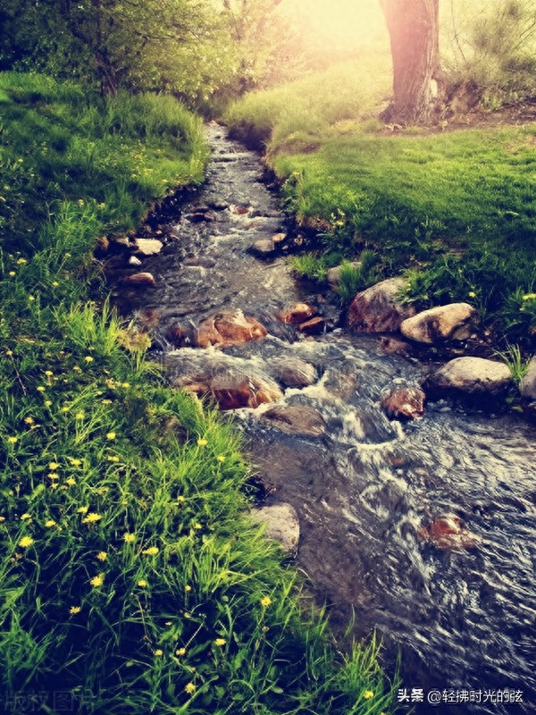 山水淡静，时光流转（韦应物经典诗词八首）