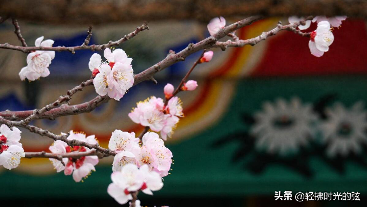 韦庄经典诗词九首（杏花吹满头，陌上少年游）