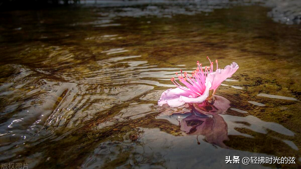 浣溪沙唯美诗词大全，十首经典《浣溪沙》