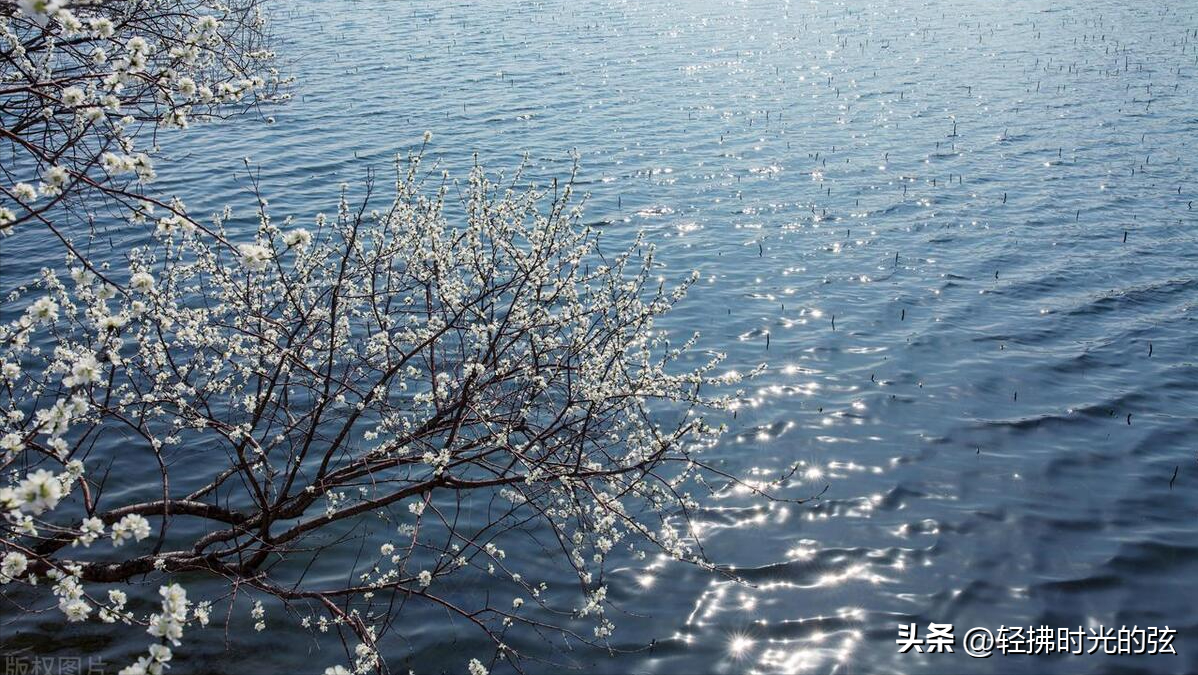 洛阳唯美诗词大会（十首洛阳诗词）