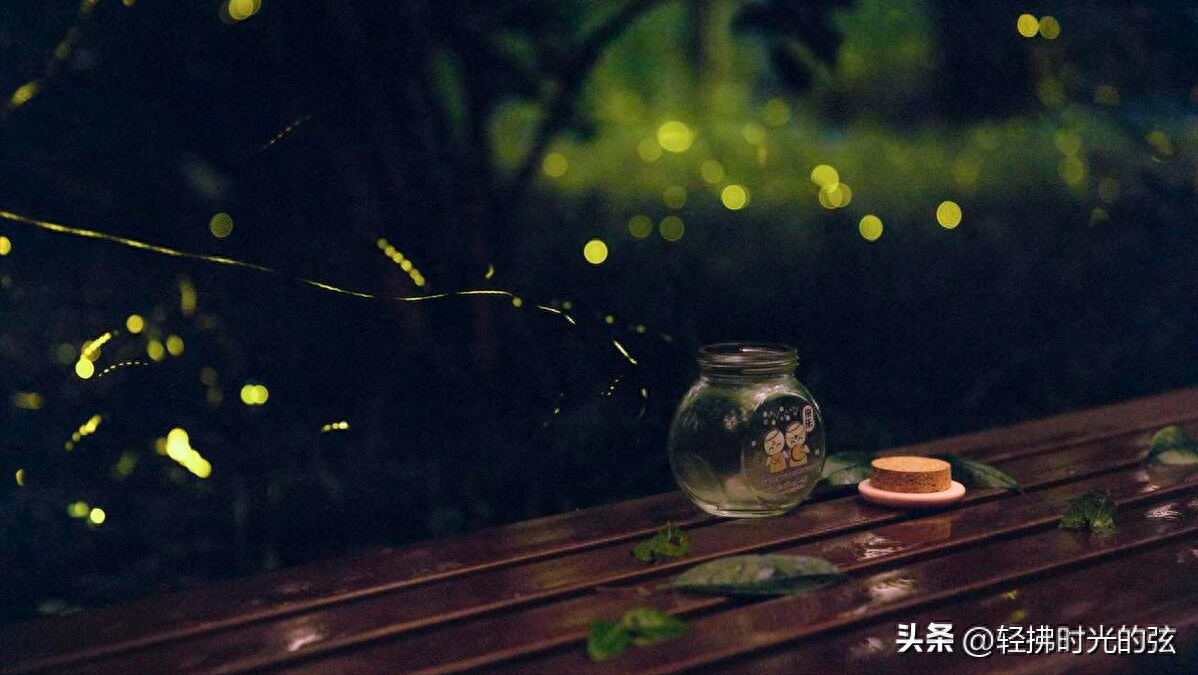 流萤唯美诗词大全（十首流萤古诗词）