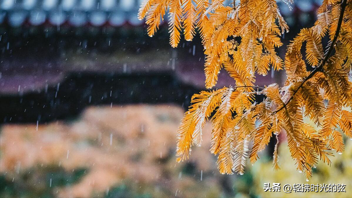 携一蓑烟雨，掬一份时光（36句烟雨诗词）