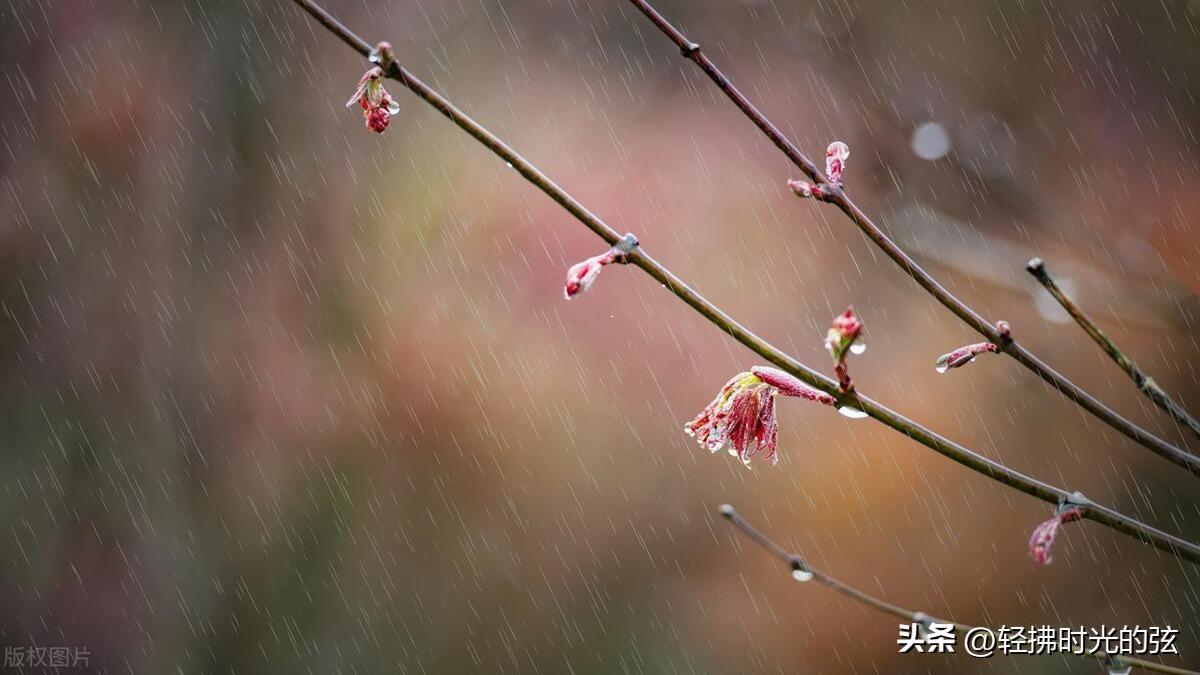 携一蓑烟雨，掬一份时光（36句烟雨诗词）