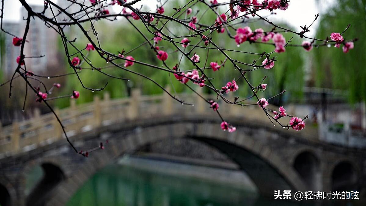 携一蓑烟雨，掬一份时光（36句烟雨诗词）