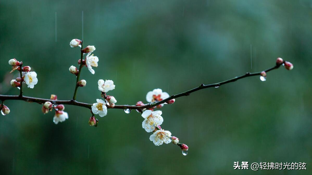 听雨唯美诗词名句（听雨诗词八首）