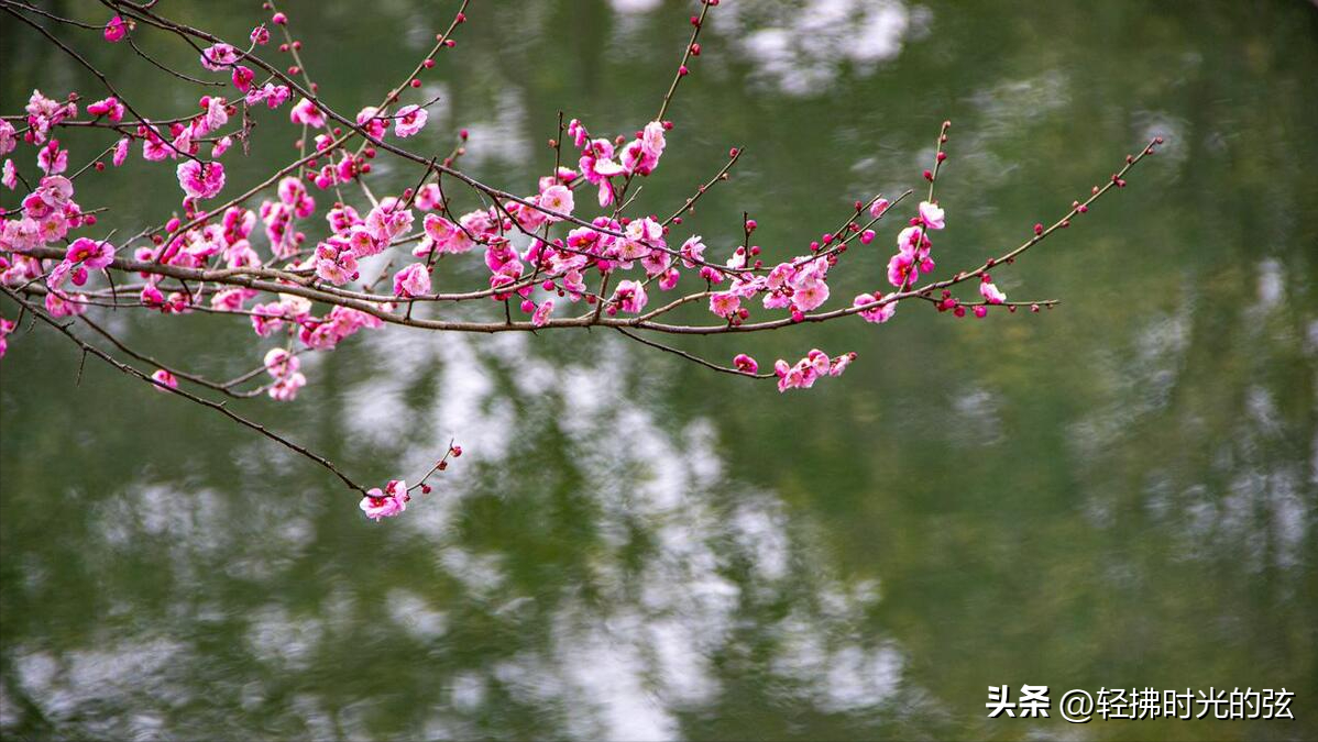 且看清秋风雨，且看夜色黄昏（道尽寂寞八首古诗词）