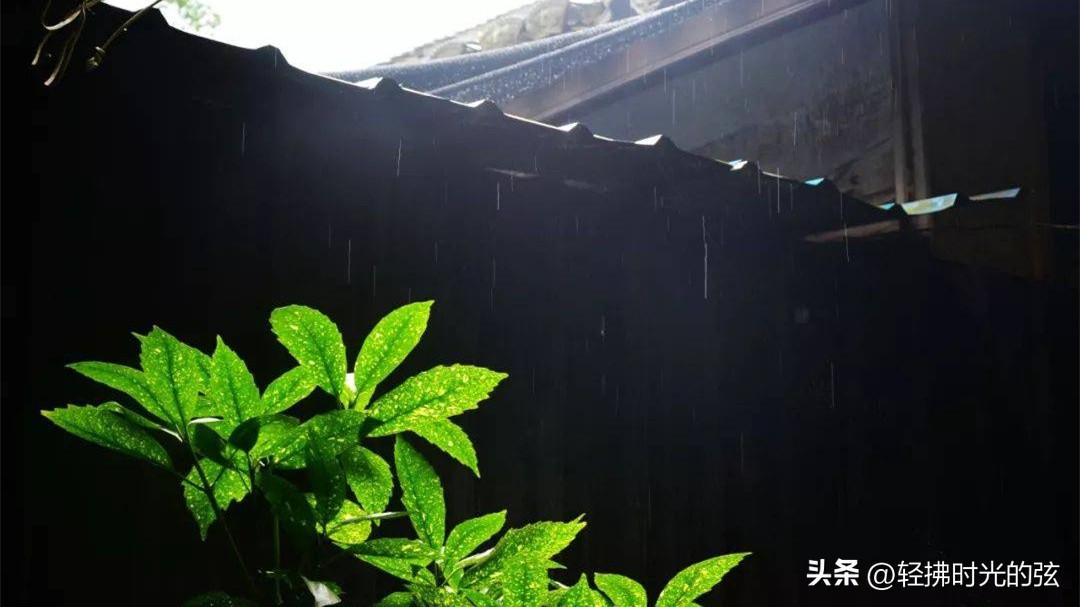 且看清秋风雨，且看夜色黄昏（道尽寂寞八首古诗词）