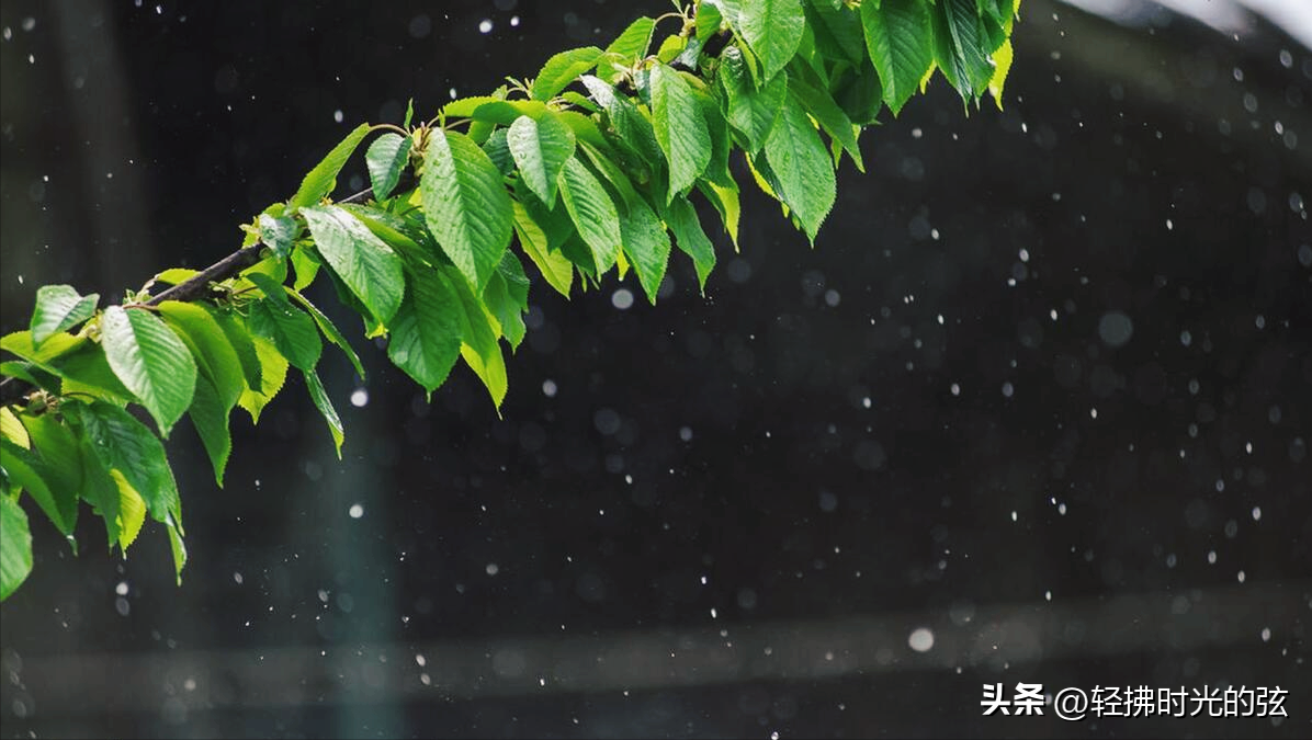 夏日唯美诗词大全（十首夏日雨后诗词）