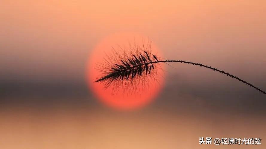 古道瘦马西风起，人言落日是天涯（9首唯美夕阳诗词）