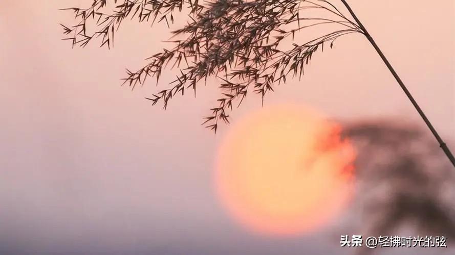 古道瘦马西风起，人言落日是天涯（9首唯美夕阳诗词）