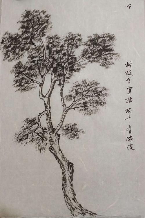 描写松树坚韧不拔的精神150字短文（坚忍不拔的生命力）