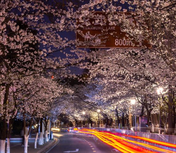 在宁静的夜晚发个人生哲理的说说（夜晚，只属于你和我）