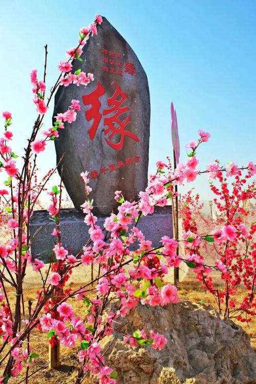 有关赏春的唯美诗句的句子摘抄（赏花赏景赏人间）