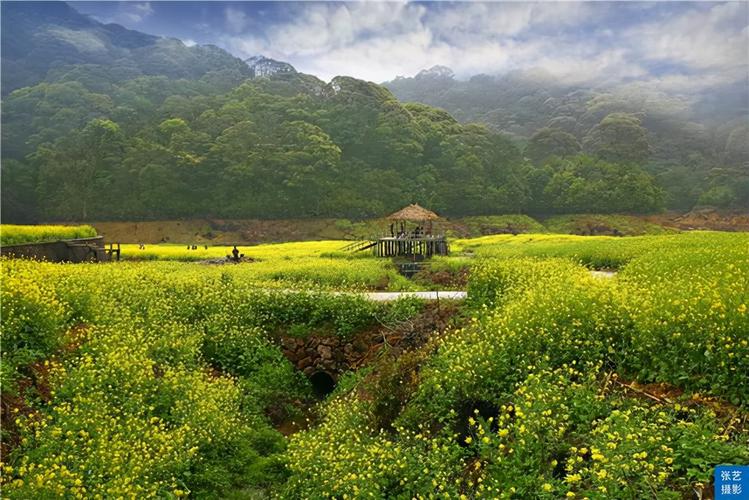 有关乡村美景的优美唯美句子的好句子摘抄（《乡村美景-唯美句子的世界》）