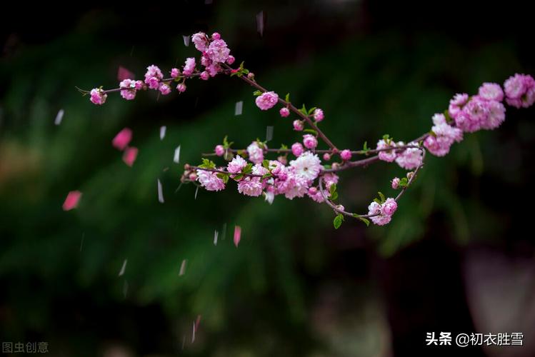 形容花落一地的诗句（春日景色）