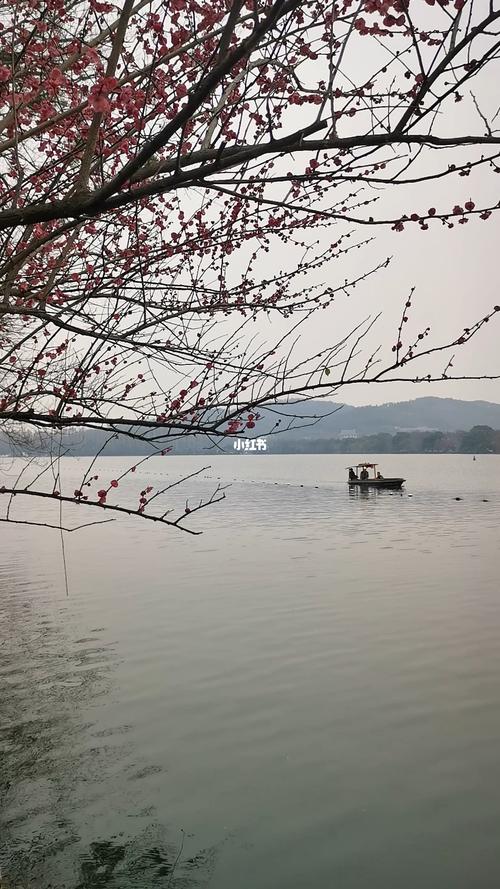 西湖美景佳句（美在湖山——西湖美景描写）