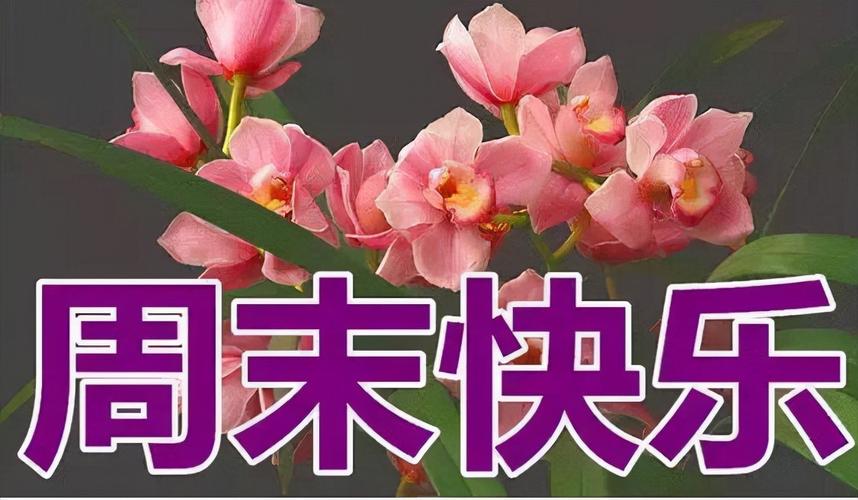 祝福女人的话语,句句暖人心（祝福女人，让她们的生命充满美好与幸福）