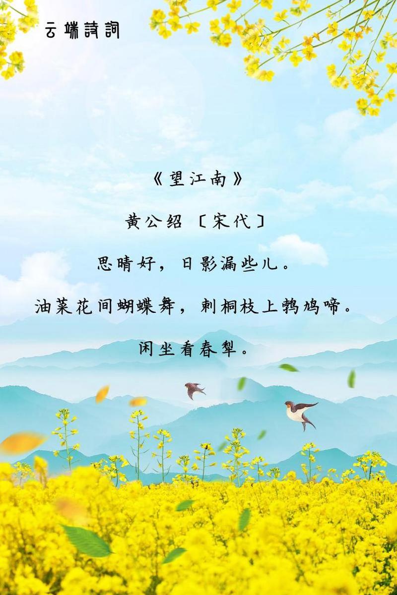 赞美油菜花的优美句子 古诗词（赞美油菜花的唯美诗句）