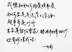 有关练字养心的优美唯美句子的好句摘抄（品读文字之美，陶冶内心之境）