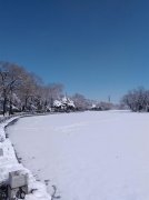 有关赞美春天雪景的唯美句子的好句有哪些（春雪飘香）