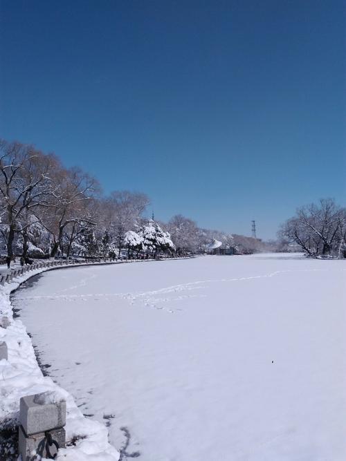 有关赞美春天雪景的唯美句子的好句有哪些（春雪飘香）