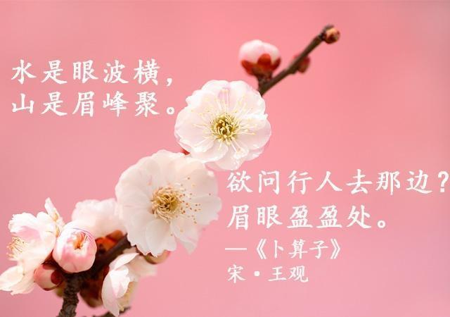 关于花开的唯美诗句（玉兰花开的唯美诗句）