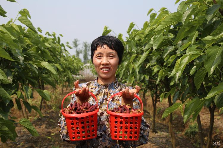 赞美农民的经典短句（诗意献礼祖国的黑土地和辛勤耕耘的农民）