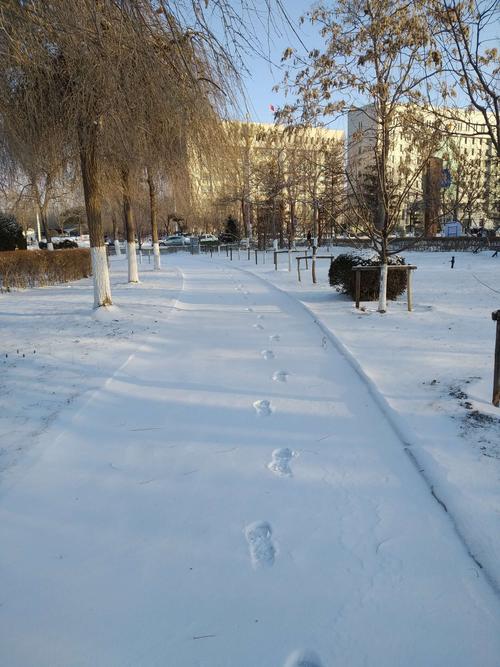 形容春雪的句子唯美诗句（花开花落，梦绵绵）