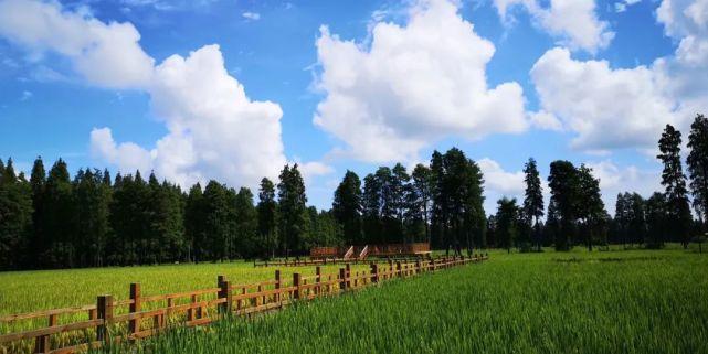 享受田园生活的文案（享受自然、领略生机）