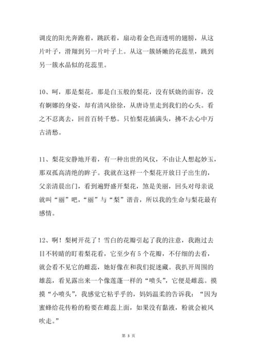 有关拟人句的唯美句子的句子摘抄（梦中人——以拟人句的唯美句子大全）