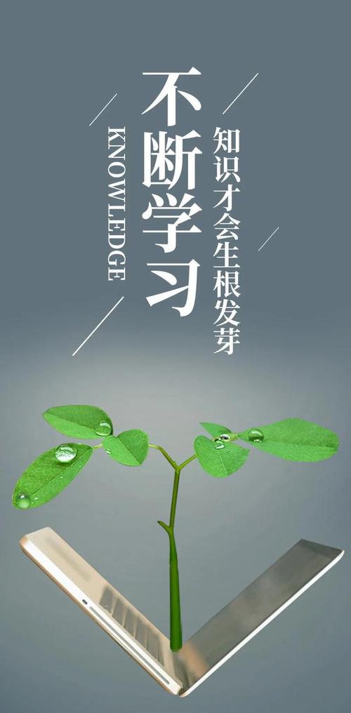 正能量创业的句子大全（用心创业，让生活更美好）