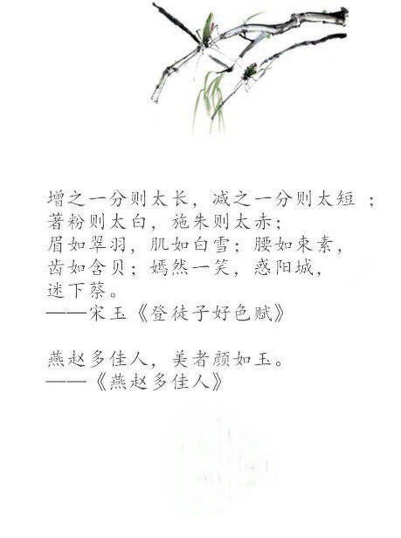 表扬女人能干的诗句子（女性之力）