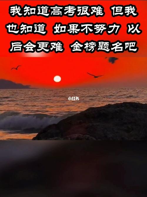 关于为高考加油的句子（用心灵的力量拥抱未来）