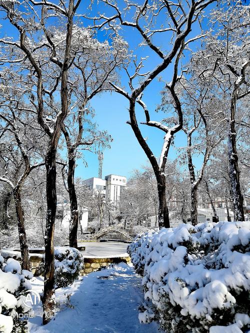 描写冬雪诗句古诗大全（探索白雪的浪漫）